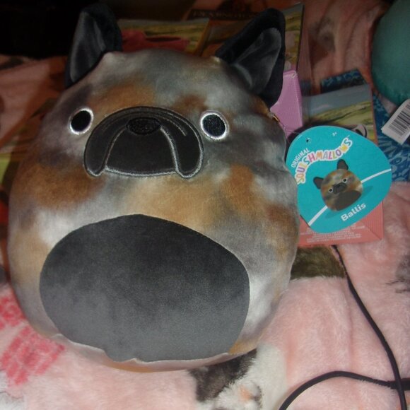 Ballis The french Bulldog Squishmallow new with tags 7.5" - Picture 1 of 1